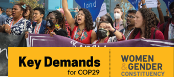 Key Demands for COP29 by the Women and Gender Constituency. The image shows an action during COP28 in Dubai.