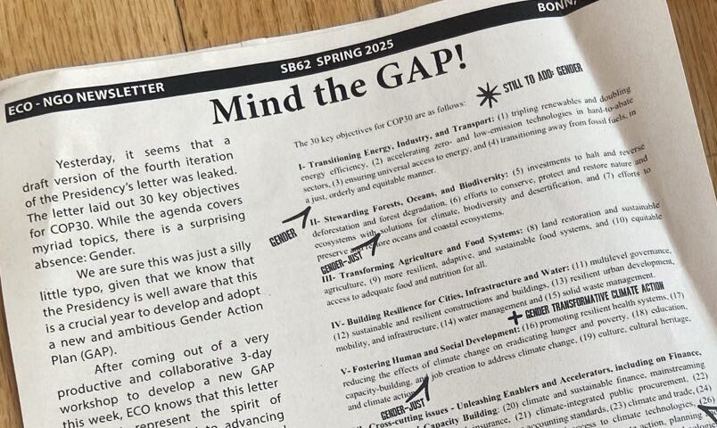 Showing the Newsletter ECO from 21 June 2025 featuring the article Mind the GAP!